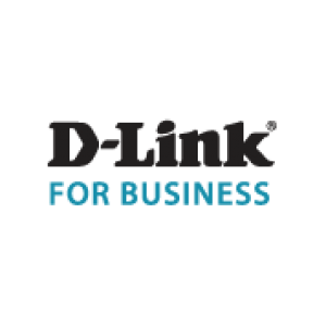 Dlink DSR-250N + Free 12 month web content filtering license bundle